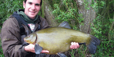 big big tench 059 1.gif